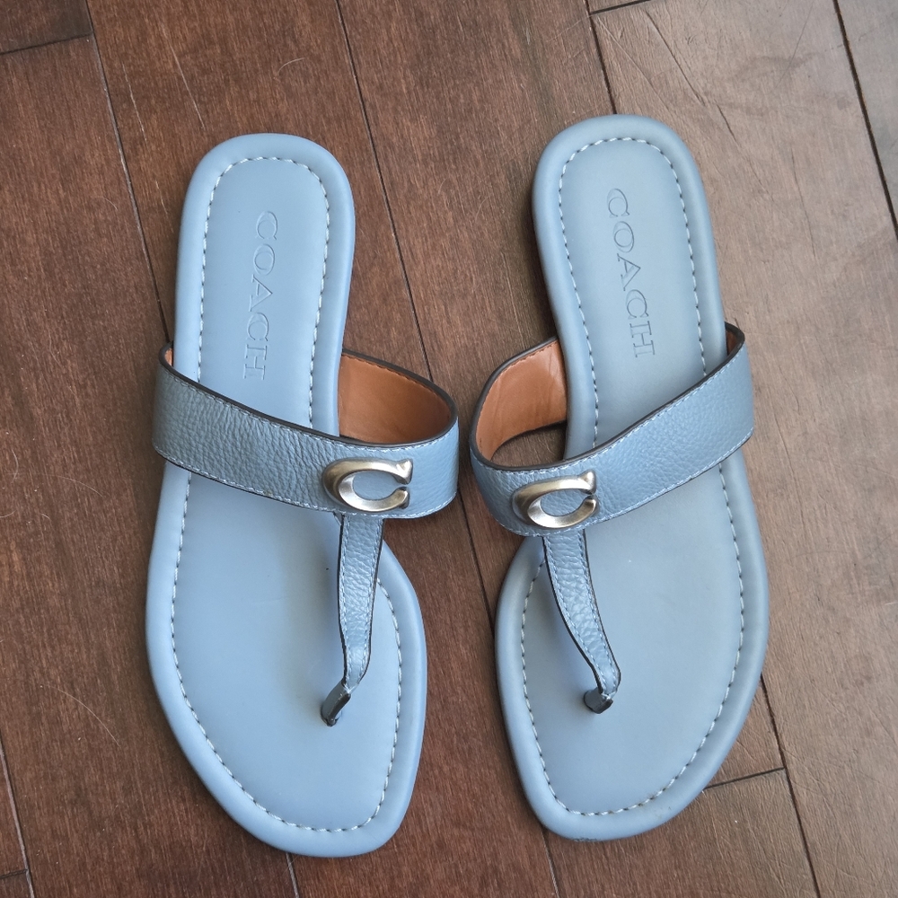 Coach Jessie Thong Blue Leather Sandals (Size 6)